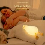 Duck Lamp