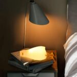Duck Lamp