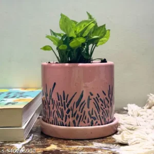 PastelPour Pot
